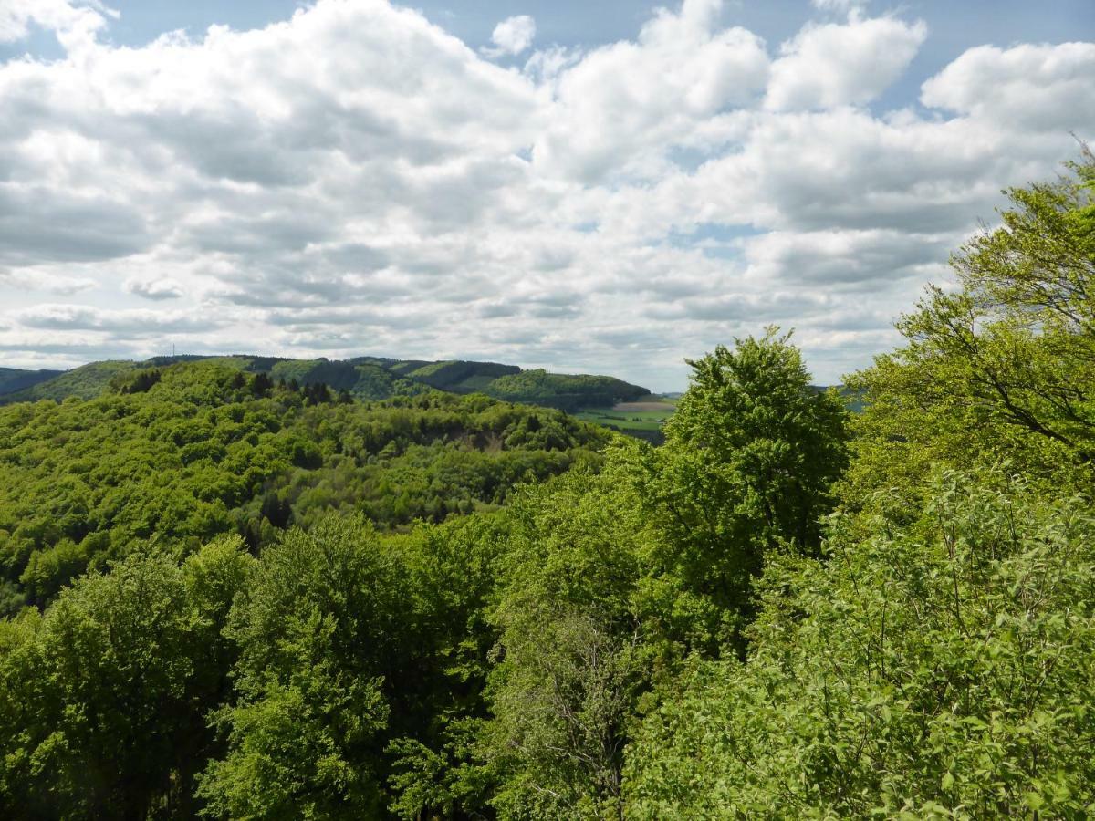 Das Nest Winterberg Extérieur photo