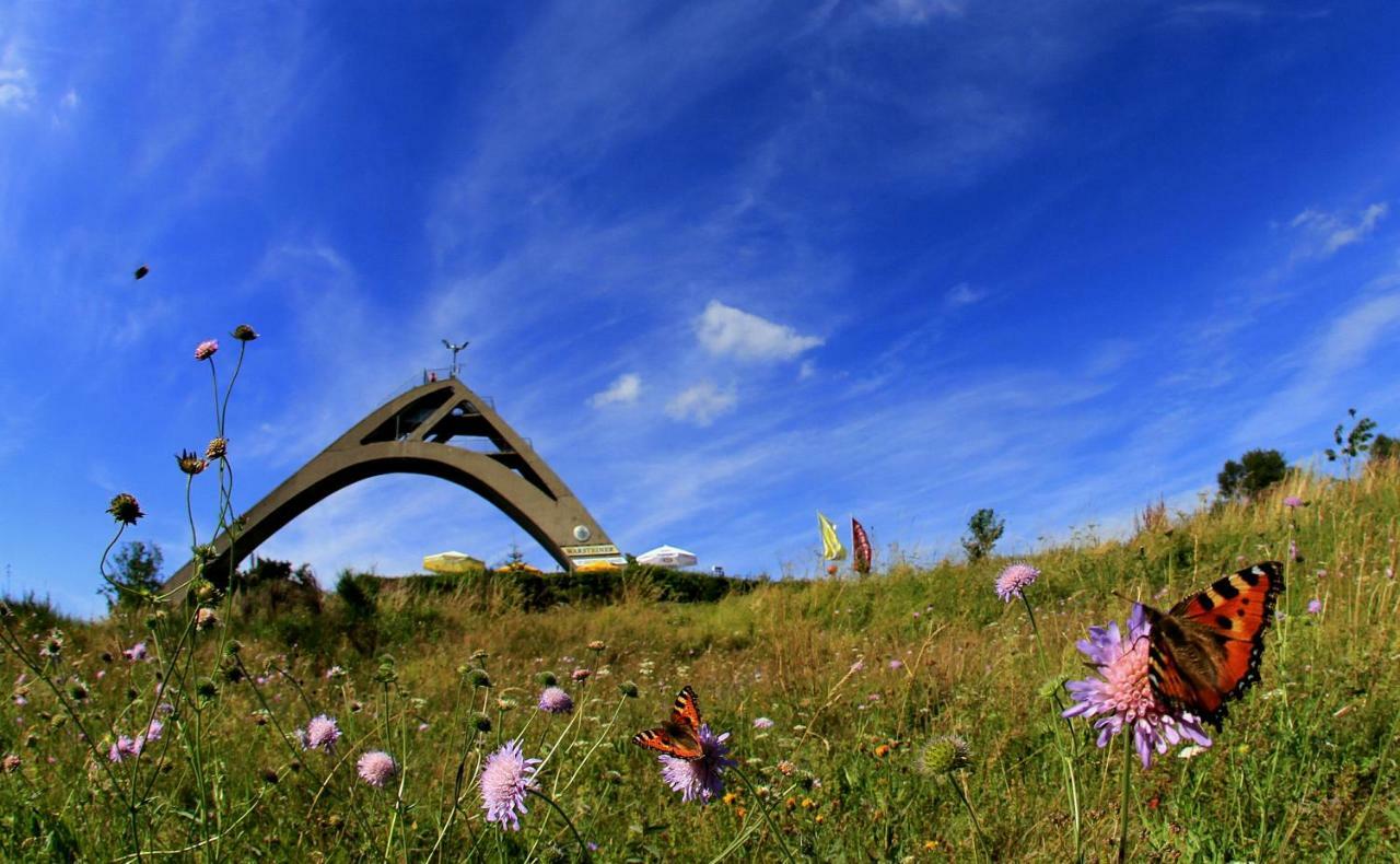 Das Nest Winterberg Extérieur photo