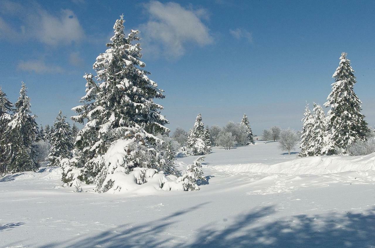Das Nest Winterberg Extérieur photo